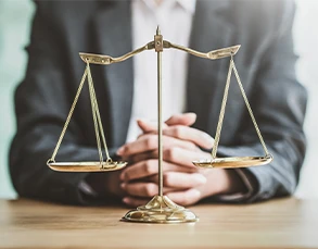 vertretung-von-behoerden-gerichten